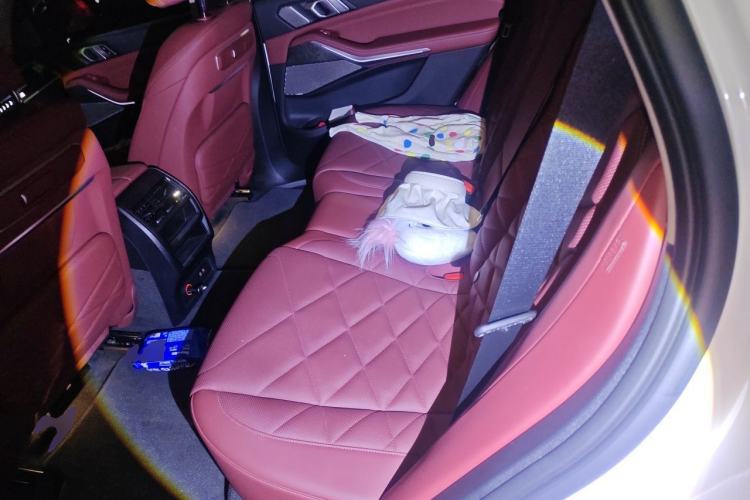 Used BMW X5 2023 xDrive 30Li Luxury M Sport Package Left Rear Seat