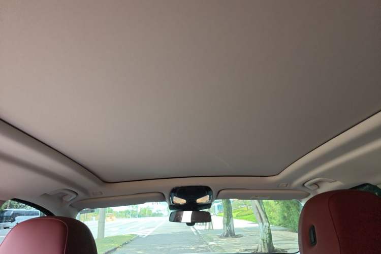 Used BMW X5 2025 Model, xDrive 30Li Prestige M Sport Night Package Headliner