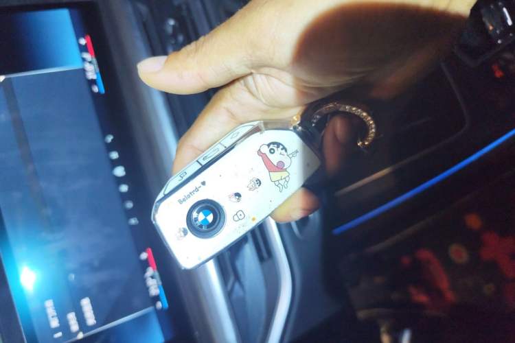 Used BMW X5 2025 Model, xDrive 40Li M Sport Night Package Vehicle Key