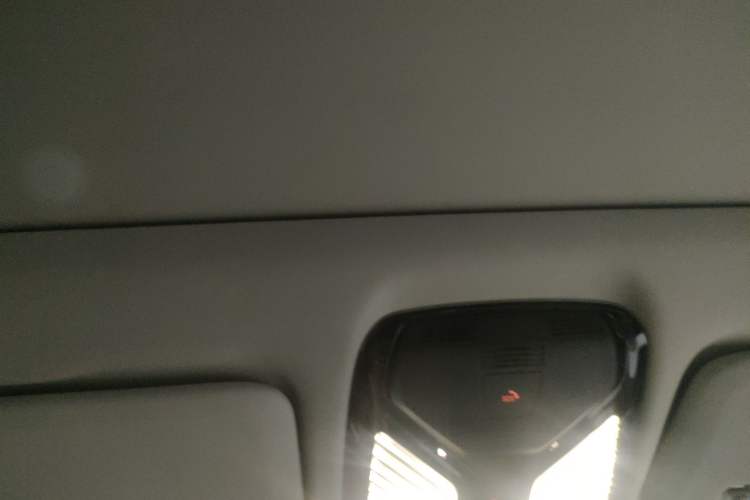 Used BMW X5 2025 Model, xDrive 30Li Prestige M Sport Night Package Headliner