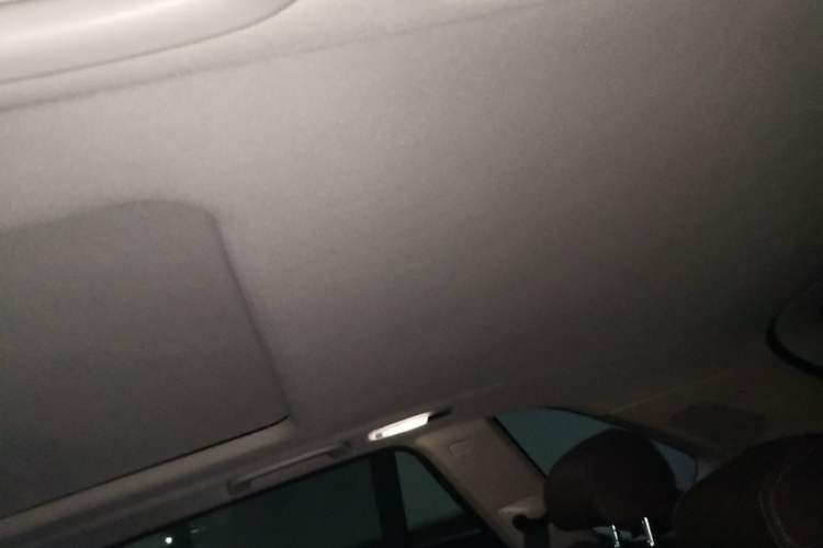 Used BMW X5 New Energy 2016 xDrive40e Headliner
