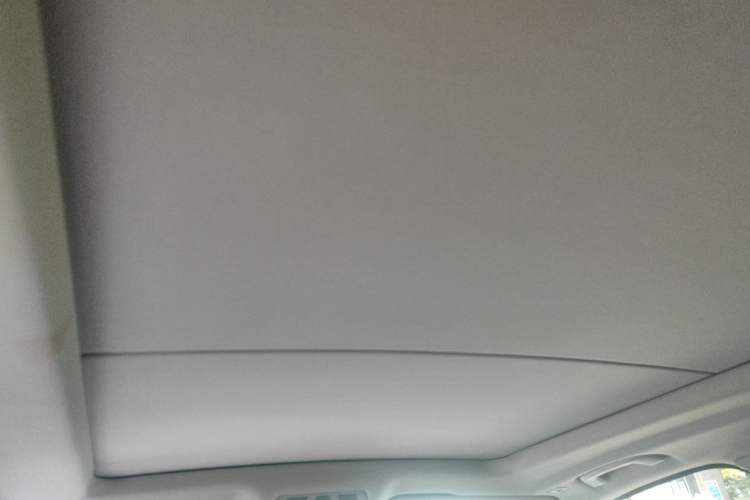 Used BMW X5 New Energy 2017 xDrive40e Headliner