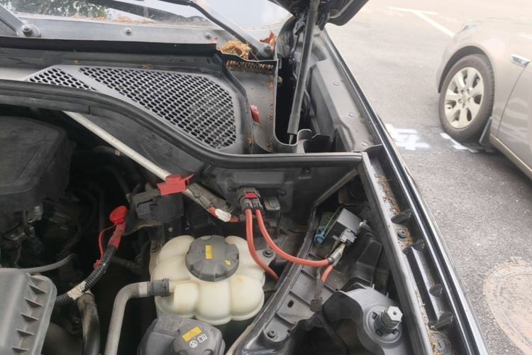 Used BMW X5 New Energy  Engine Bay Left