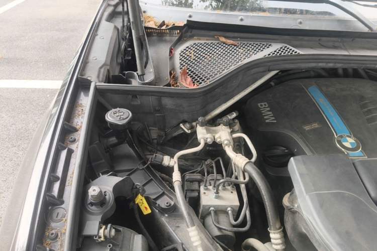 Used BMW X5 New Energy  Engine Bay Right
