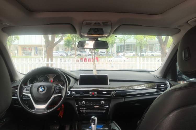 Used BMW X5 New Energy  Headliner