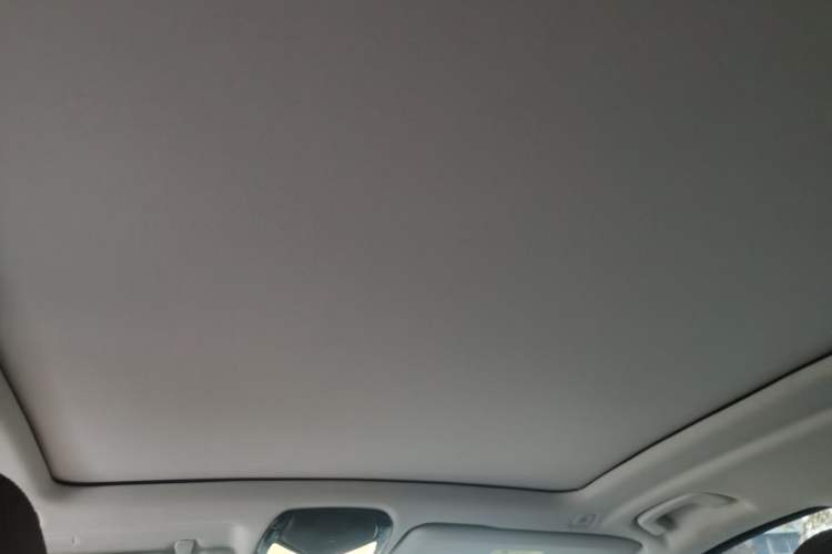 Used BMW X5 New Energy 2020 xDrive45e M Sport Package Headliner