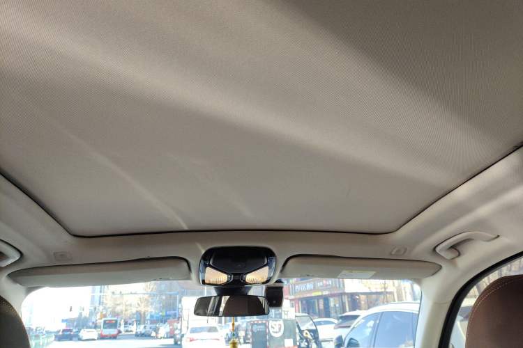 Used BMW X5 New Energy 2021 xDrive45e M Sport Package Headliner