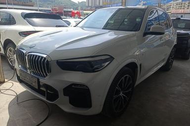Used BMW X5 New Energy 2021 xDrive45e M Sport Package