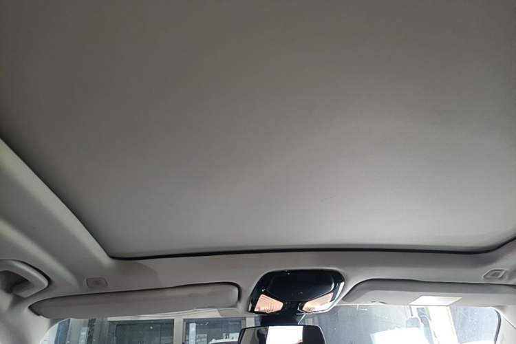 Used BMW X5 New Energy 2021 xDrive45e M Sport Package Headliner