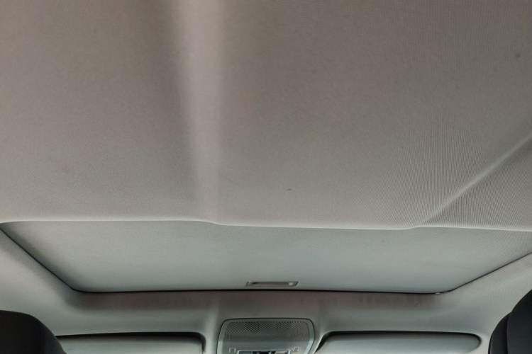 Used BMW X6  Headliner