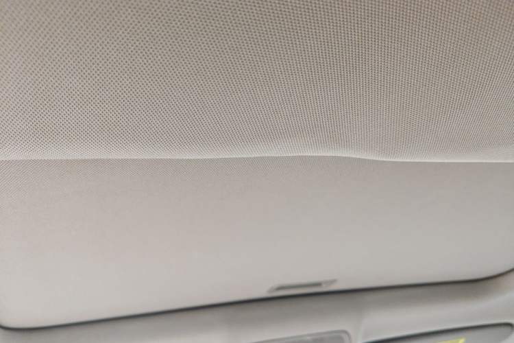 Used BMW X6 2009 xDrive35i US specification Headliner
