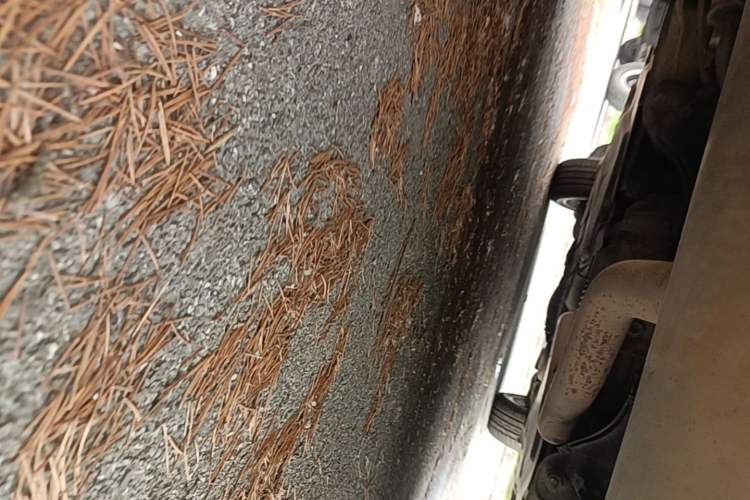 Used BMW X6 2011 xDrive35i Chassis Rear