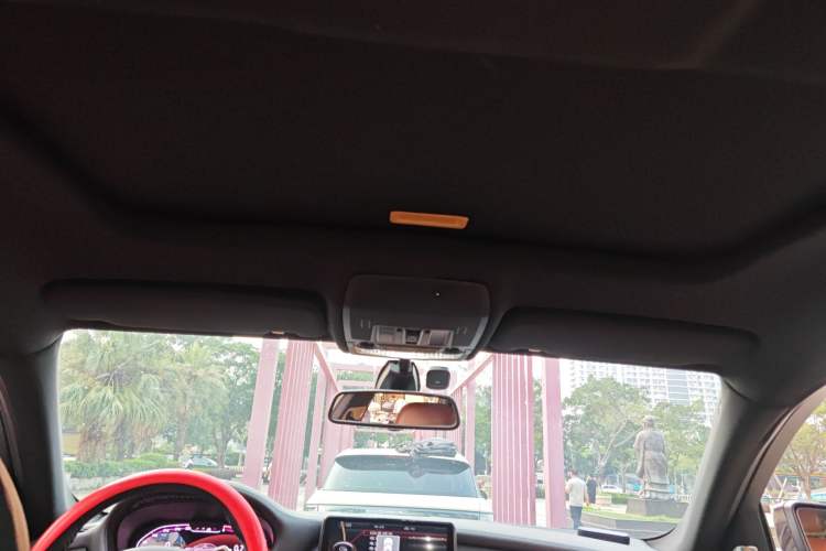 Used BMW X6  Headliner
