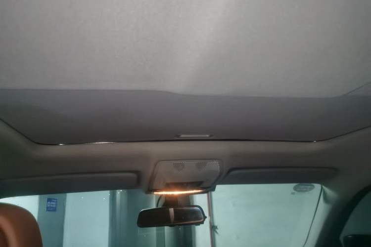 Used BMW X6 2011 xDrive35i Headliner