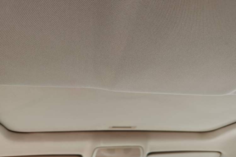 Used BMW X6 2011 xDrive35i Headliner