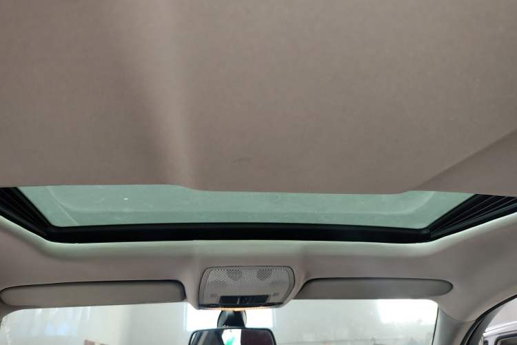 Used BMW X6  Headliner