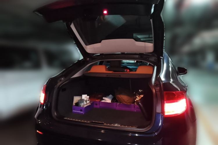 Used BMW X6 2011 xDrive35i Trunk