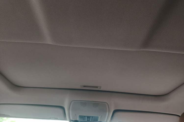 Used BMW X6  Headliner