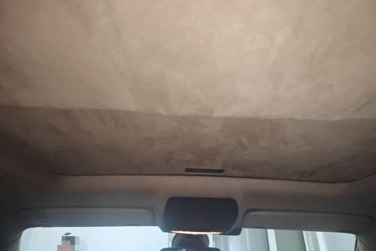 Used BMW X6  Headliner