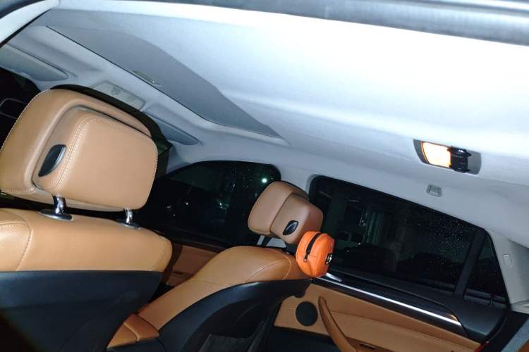 Used BMW X6 2011 xDrive35i Headliner