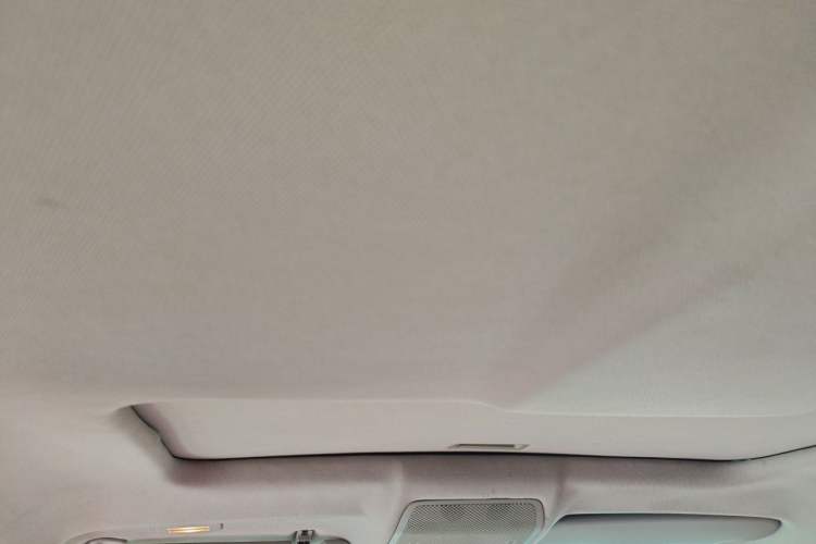 Used BMW X6 2011 xDrive35i Headliner