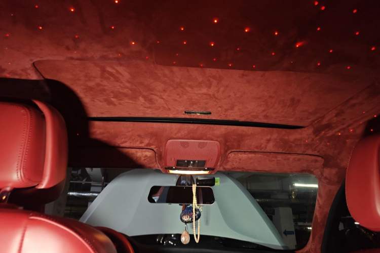 Used BMW X6 2011 xDrive35i Headliner