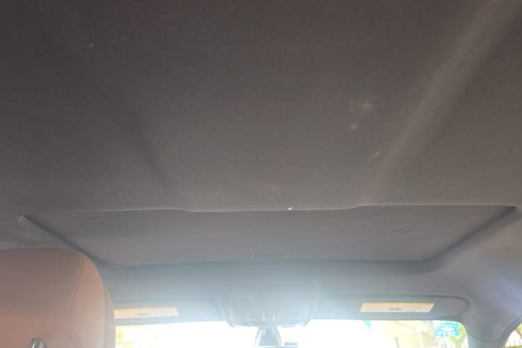 Used BMW X6 2011 xDrive35i Headliner
