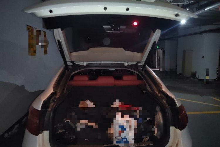 Used BMW X6 2011 xDrive35i Trunk