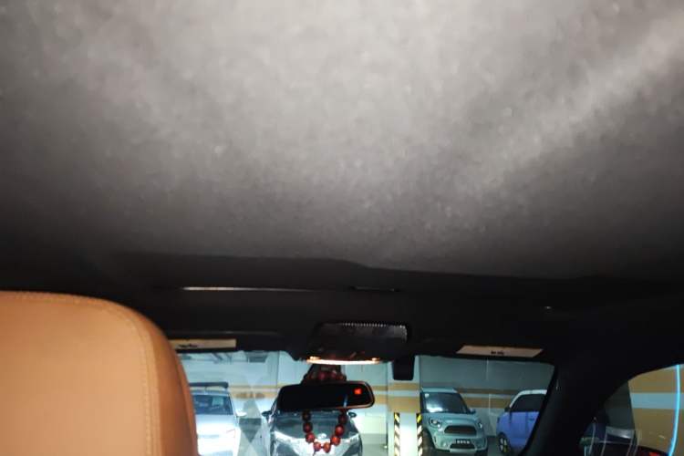 Used BMW X6 2012 xDrive35i Headliner