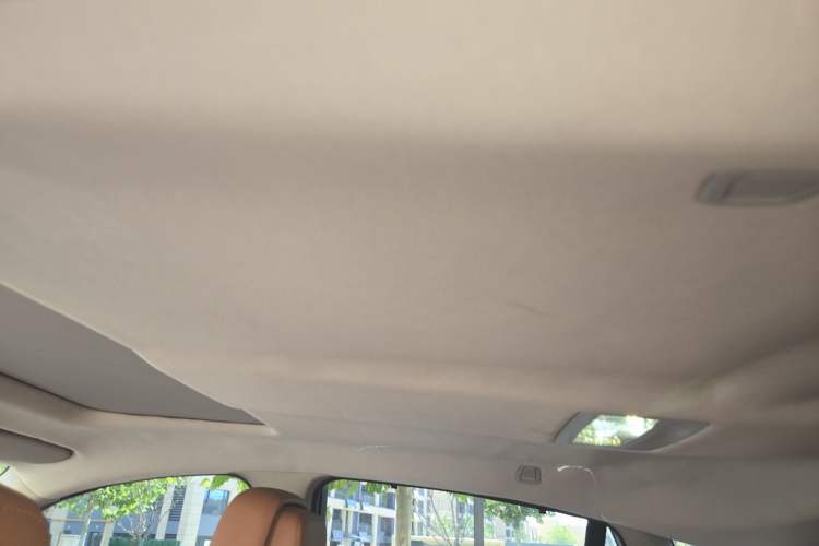 Used BMW X6 2012 xDrive35i Headliner