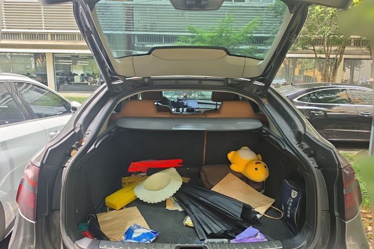 Used BMW X6 2012 xDrive35i Trunk