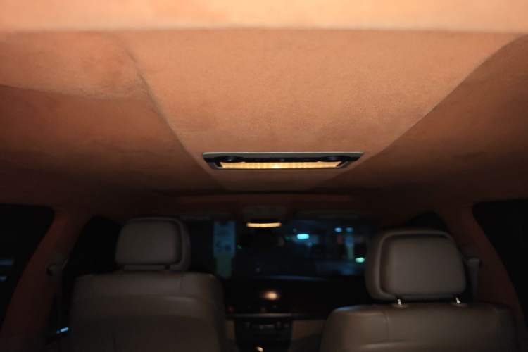 Used BMW X6  Headliner