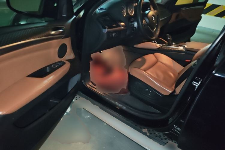 Used BMW X6  Driver Seat