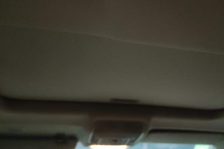 Used BMW X6  Headliner