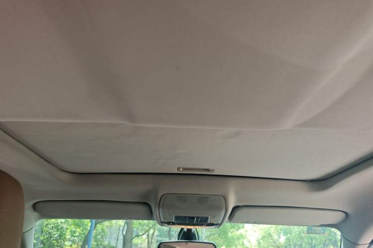 Used BMW X6  Headliner
