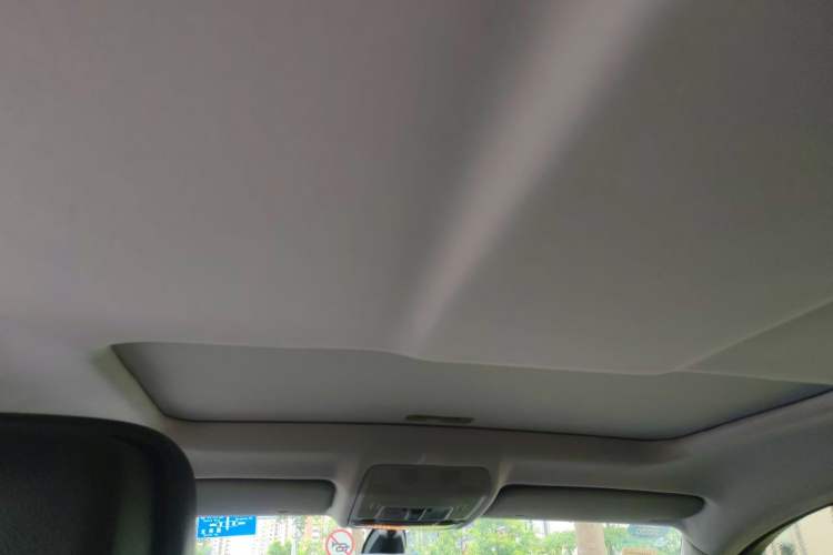 Used BMW X6  Headliner