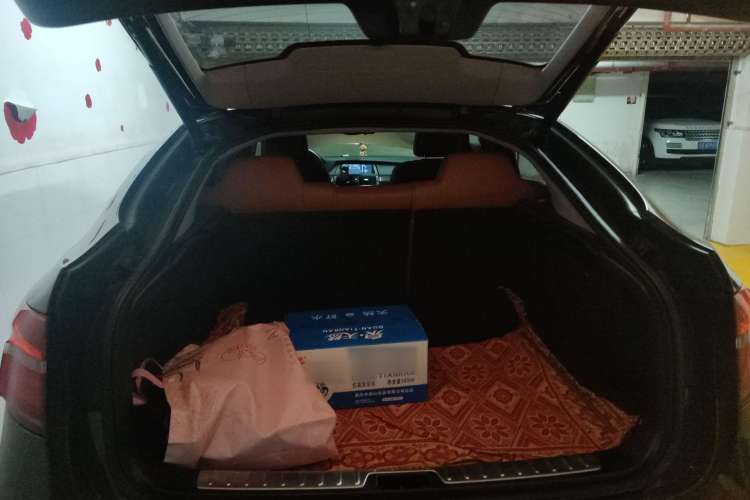 Used BMW X6 2013 xDrive35i Trunk