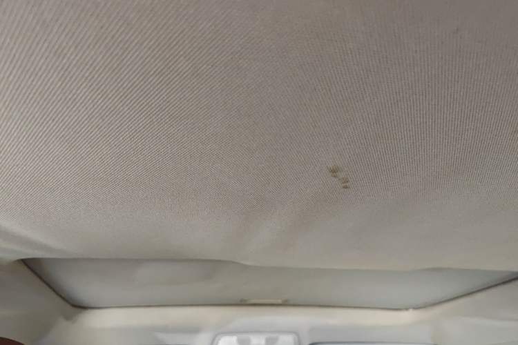 Used BMW X6  Headliner