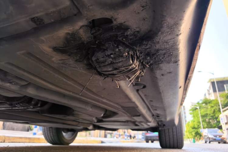 Used BMW X6 2013 xDrive35i Chassis Front Left
