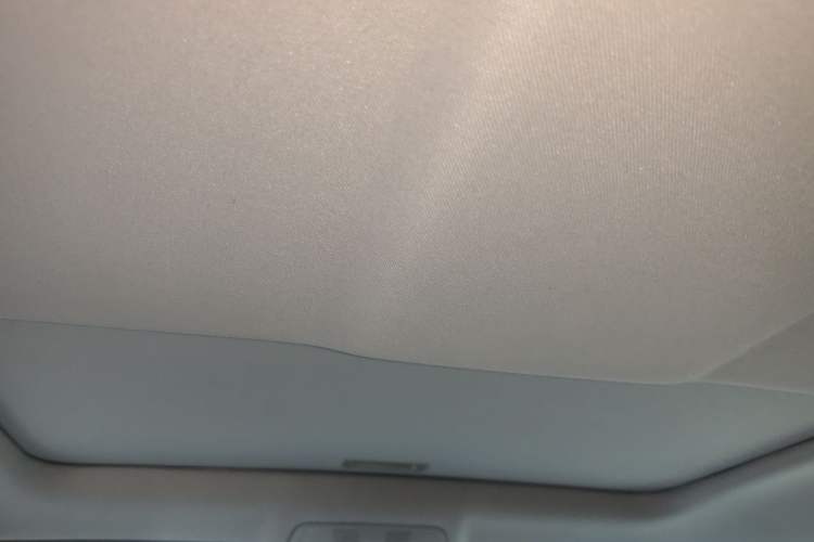 Used BMW X6 2013 xDrive35i Headliner
