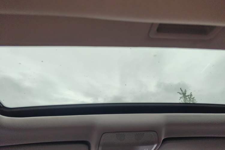 Used BMW X6  Headliner