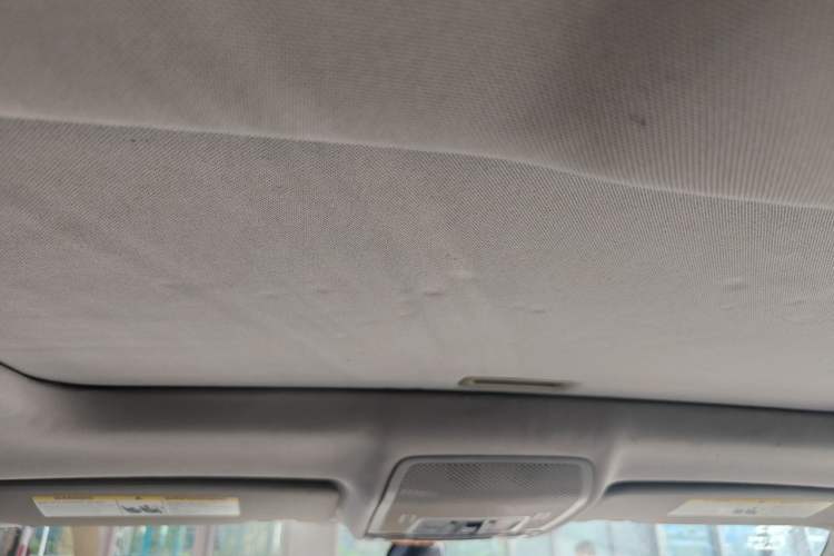 Used BMW X6  Headliner