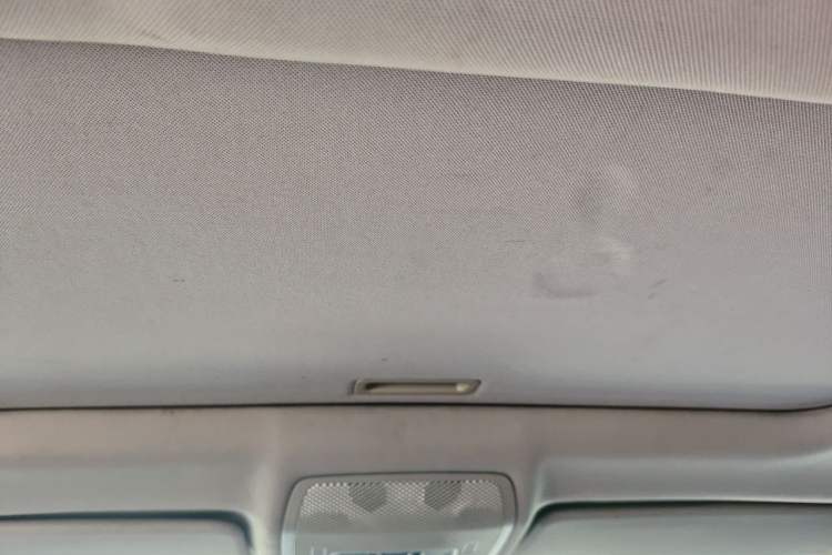 Used BMW X6 2013 xDrive35i U.S. specification Headliner