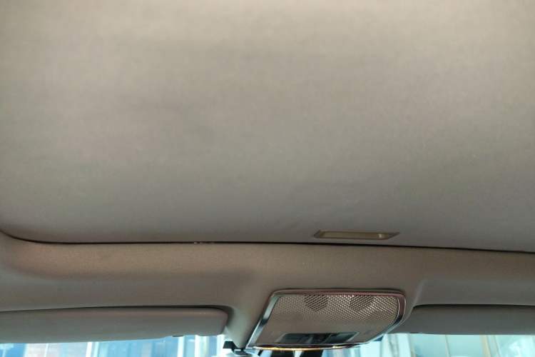 Used BMW X6  Headliner