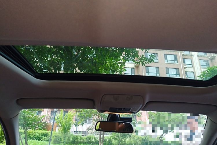 Used BMW X6  Headliner