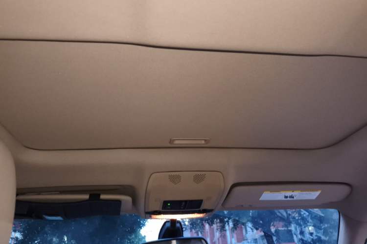 Used BMW X6  Headliner