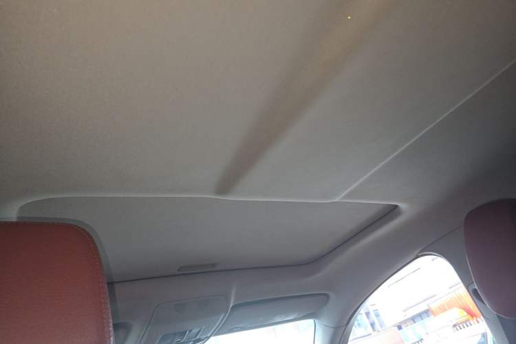 Used BMW X6  Headliner
