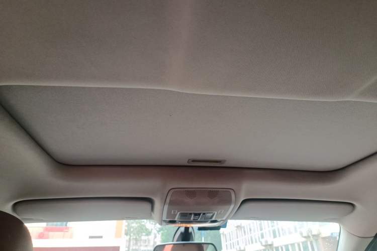 Used BMW X6  Headliner