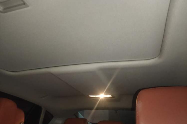 Used BMW X6 2014 xDrive35i Sport model Headliner