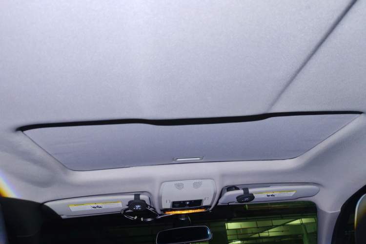 Used BMW X6  Headliner